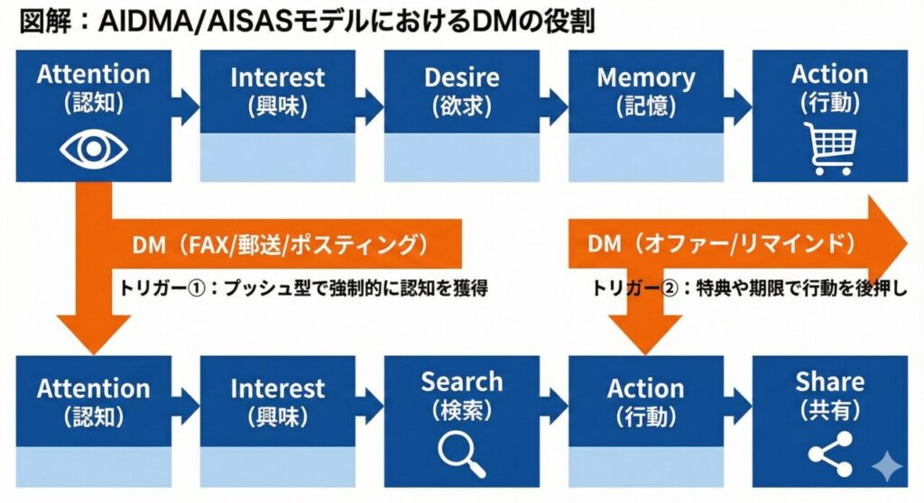 購買行動モデル（AIDMA/AISAS）の図解。ダイレクトメール（DM）が最初の「認知（Attention）」と最後の「行動（Action）」の強力なトリガーになることを示したマーケティングフロー図。