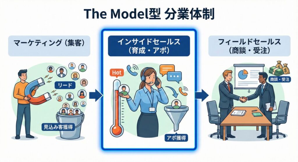The Model（ザ・モデル）型の営業プロセス図解。左からマーケティング（集客）、中央のインサイドセールス（育成・アポ）、右のフィールドセールス（商談・受注）へと見込み客をバケツリレー形式で引き継ぐ分業体制を示すフローチャート。