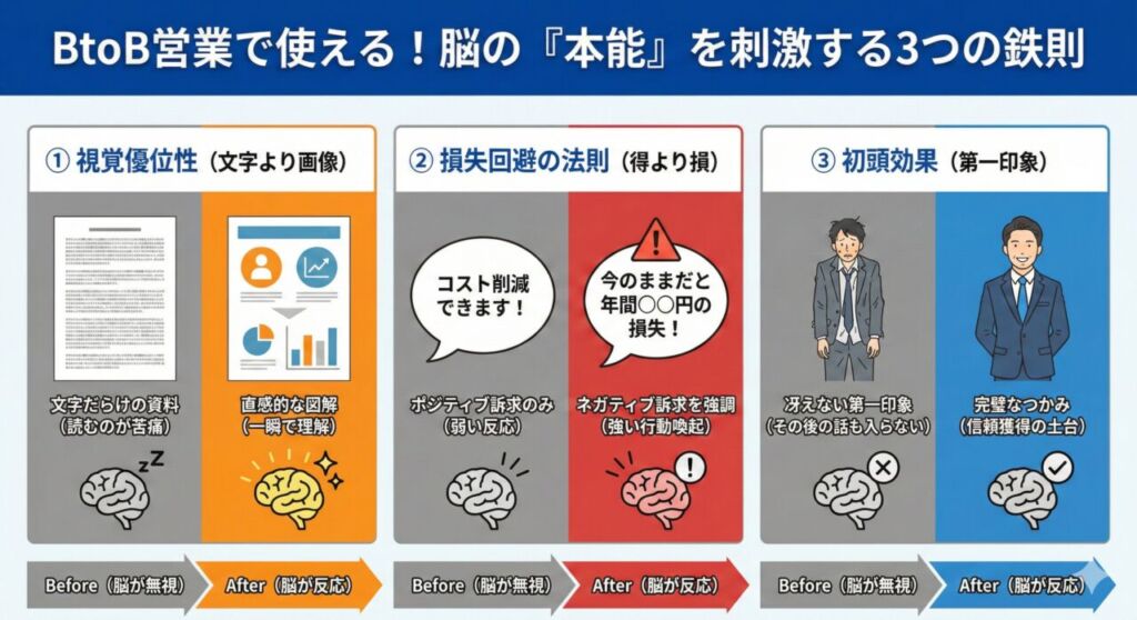 BtoB営業で使える3つの脳科学テクニック（視覚優位性、損失回避の法則、初頭効果）を、Before/Afterの対比で解説した図解。脳が反応しやすい資料や伝え方のポイントを視覚化。