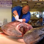 マグロの解体ショー